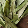 California Bay Leaf