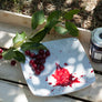 SiGi Wild Black Cherry Fruit Spread 7.8oz/220g