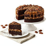 Andy Anand Sugar-Free Turtle Pecan Cake, 2.8 lb – Dark Chocolate, Caramel & Toasted Pecans, Keto & Diabetic-Friendly, Birthday Gift Box