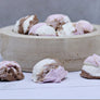 Freeze Dried Neapolitan Ice Cream Bites