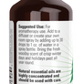 Woodland Walk Essential Oil Blend