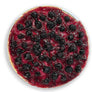 Andy Anand Gluten-Free Blueberry Cheesecake, 9-Inch, 2 lb – Freshly Baked, Real California Cream Cheese, No Preservatives, Birthday Gift Box