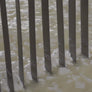 Fresh Grated Genuine Fulvi® Pecorino Romano DOP
