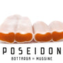 Poseidon - Whole Bottarga - artisanal superfood - Kosher - Imported from France 3.52 - 4.58 oz