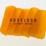 Poseidon Bottarga Superfood Of The Mediterranean From Sardinia Made In Italy 3.5 Oz ~ 4.58 Oz - Duke's Gourmet