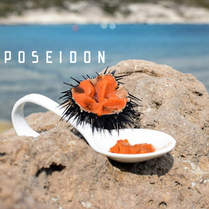 Sauces and Canned Seafood