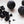 Black Lemon