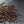 Cardamom Seed