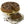 Andy Anand Sugar-Free Dark Chocolate Chip Cheesecake, 9-Inch, 2 lb – Diabetic-Friendly, California Cream Cheese, No Preservatives Gift Box