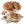 Andy Anand Caramel Pecan Cake, 9-Inch, 2.8 lb – Hand-Baked, Toasted Pecans, Caramel Drizzle, No Preservatives, Birthday & Holiday Gift