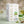 Enjoue Organic Youthful Vitality Herbal Tea 25ct