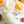 Smooth Extra Virgin Olive Oil (375ml) - Batch #2501