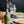 Bold Extra Virgin Olive Oil (375ml) - Batch #2501