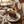 Andy Anand Caramel Pecan Cake, 9-Inch, 2.8 lb – Hand-Baked, Toasted Pecans, Caramel Drizzle, No Preservatives, Birthday & Holiday Gift
