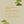 Culinary Matcha