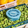 Organic Hummus