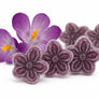 Andy Anand Sugar-Free Violet Candy Dragees, 100 pc, 2-Pack – Old-World European, Stevia Sweetened, Keto & Diabetic-Friendly Gourmet Gift Box