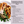 Thanksgiving Turkey Gourmet Gravy