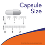 Veg Capsules Single "O"