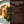 Roasted Chicken Gourmet Gravy