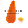 Poseidon Bottarga Grated From Sardinia Made In Italy 1.76 Oz [50g]